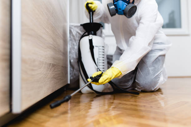 Reliable Sunnyvale, CA Pest Control Solutions