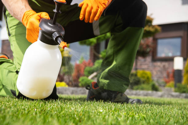 Best Residential Pest Control  in Sunnyvale, CA