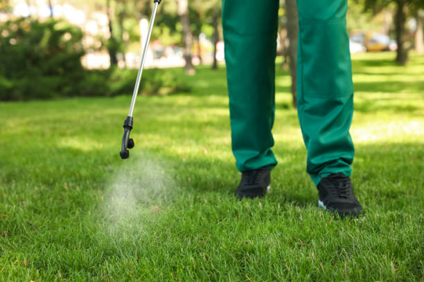 Best Termite Control Services  in Sunnyvale, CA