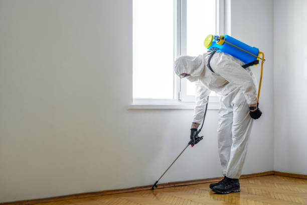 Best Best Pest Control Companies  in Sunnyvale, CA
