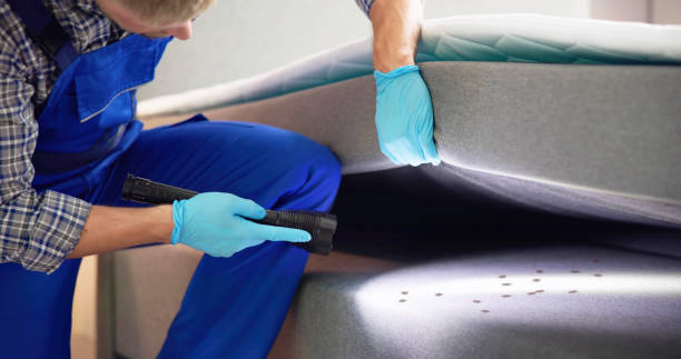 Best Flea Control Services  in Sunnyvale, CA