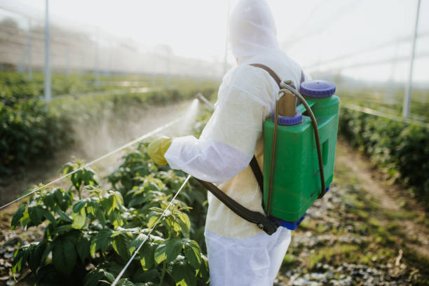 Best Pest Prevention Services  in Sunnyvale, CA